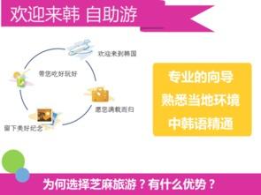 韓國(guo)首(shou)爾與(yu)釜(fu)山(shan)專(zhuan)業(ye)翻(fan)譯與(yu)軟(ruan)件開發(fa)服務