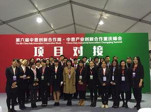 我院(yuan)學子圓(yuan)滿完(wan)成第六(liu)屆(jie)中意產業(ye)創(chuang)新合(he)作重(zhong)慶(qing)峰(feng)會項(xiang)目(mu)對(dui)接會翻(fan)譯(yi)與軟(ruan)件(jian)開(kai)發(fa)誌(zhi)願服(fu)務